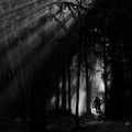 Dreamy Dust - Andy Lloyd