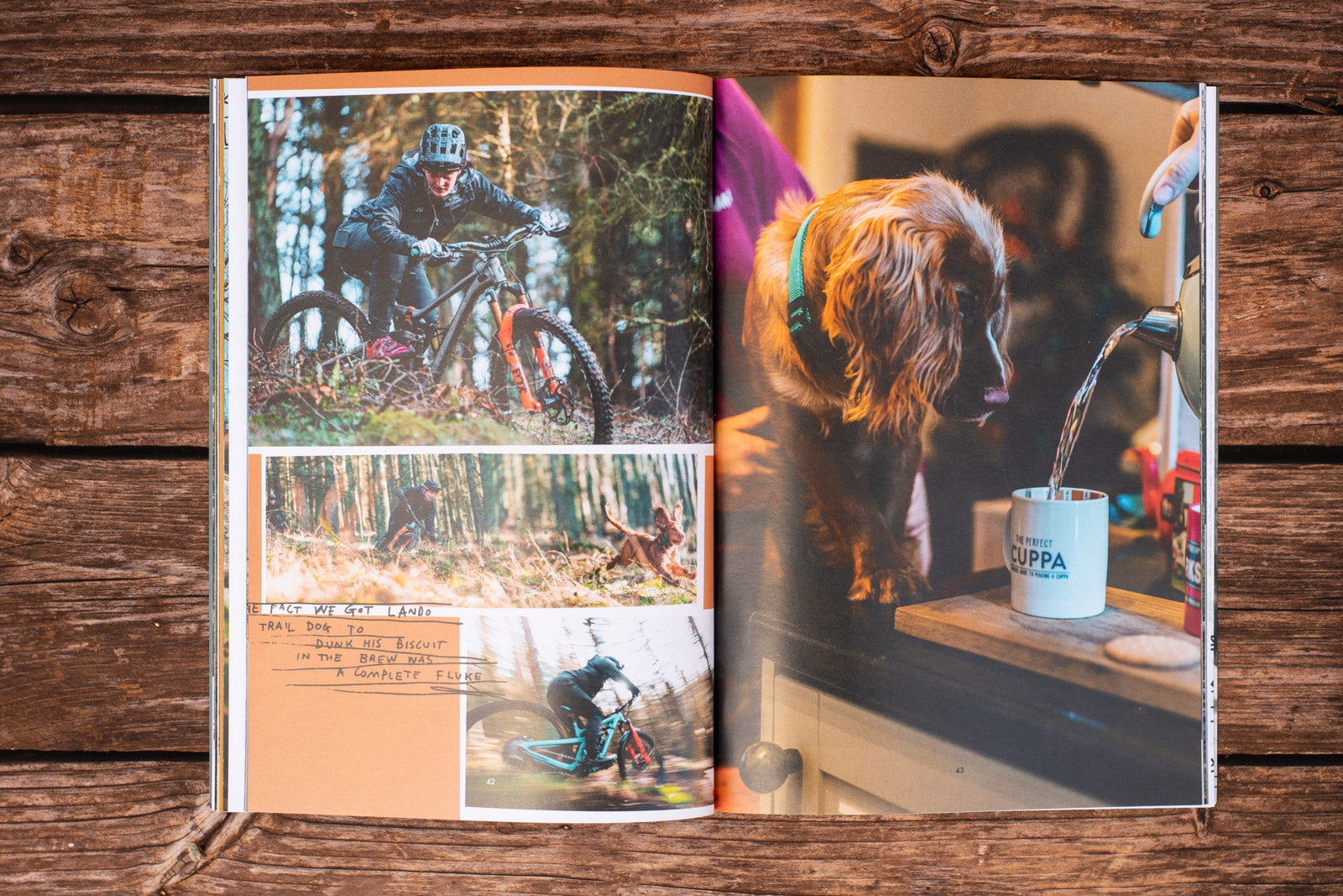 Tea & Biscuits 2 Custard Cream Zine