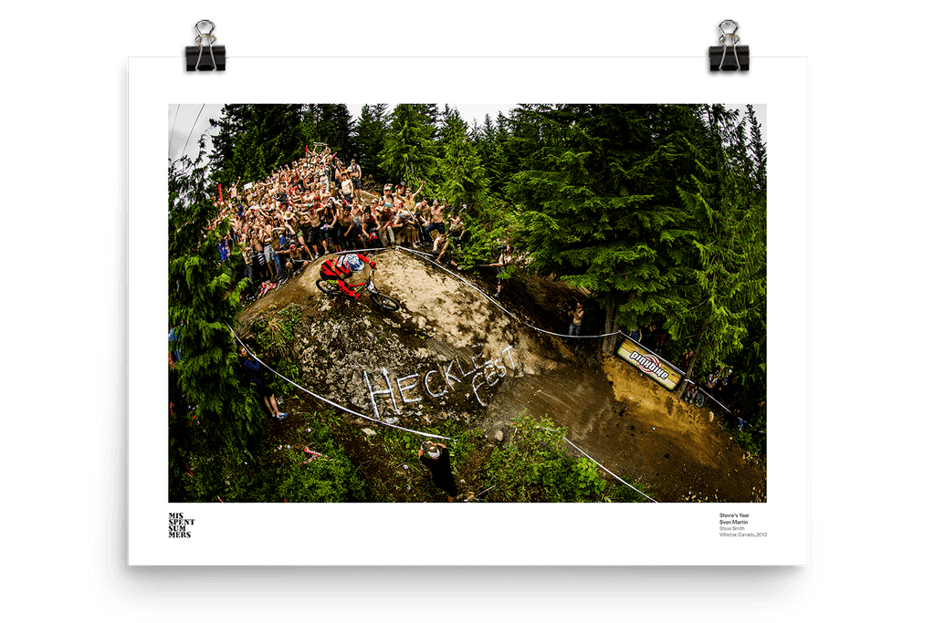 Stevie's Year - Sven Martin