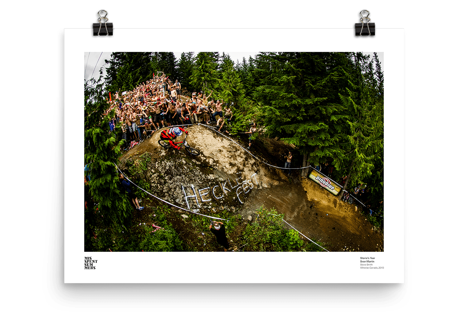 Stevie's Year - Sven Martin